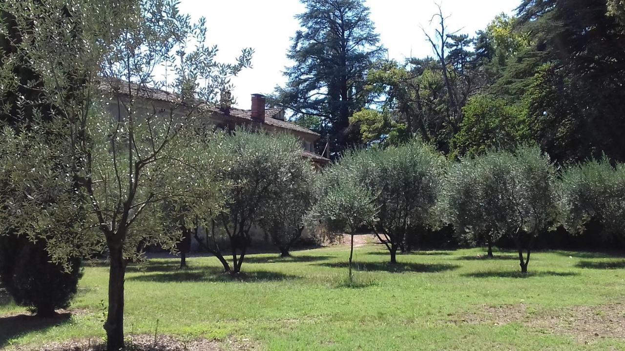 Domaine De Bellevue Chambre D'Hotes ボーム・ド・ヴニーズ エクステリア 写真