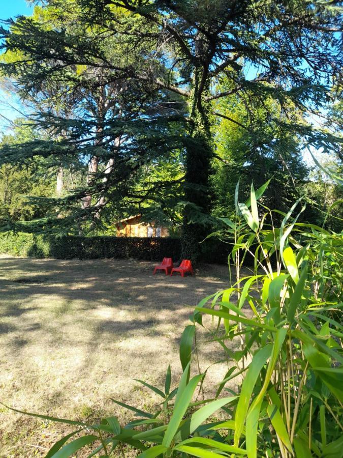 Domaine De Bellevue Chambre D'Hotes ボーム・ド・ヴニーズ エクステリア 写真